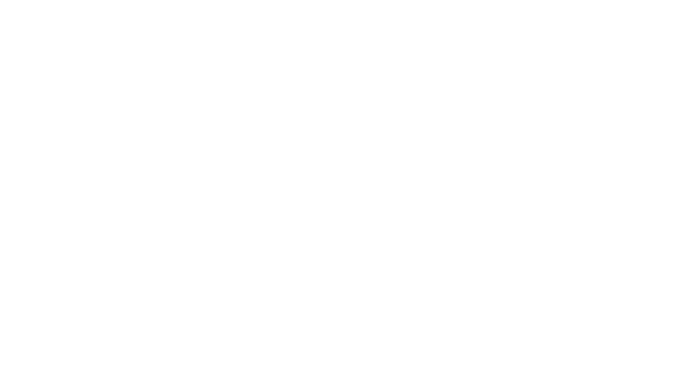 Diana Braun Group